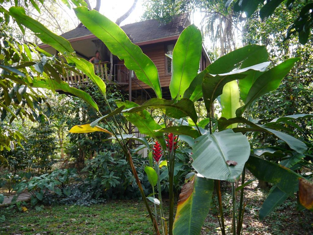 Baan Khao Sok Resort Khao Sok National Park Camera foto