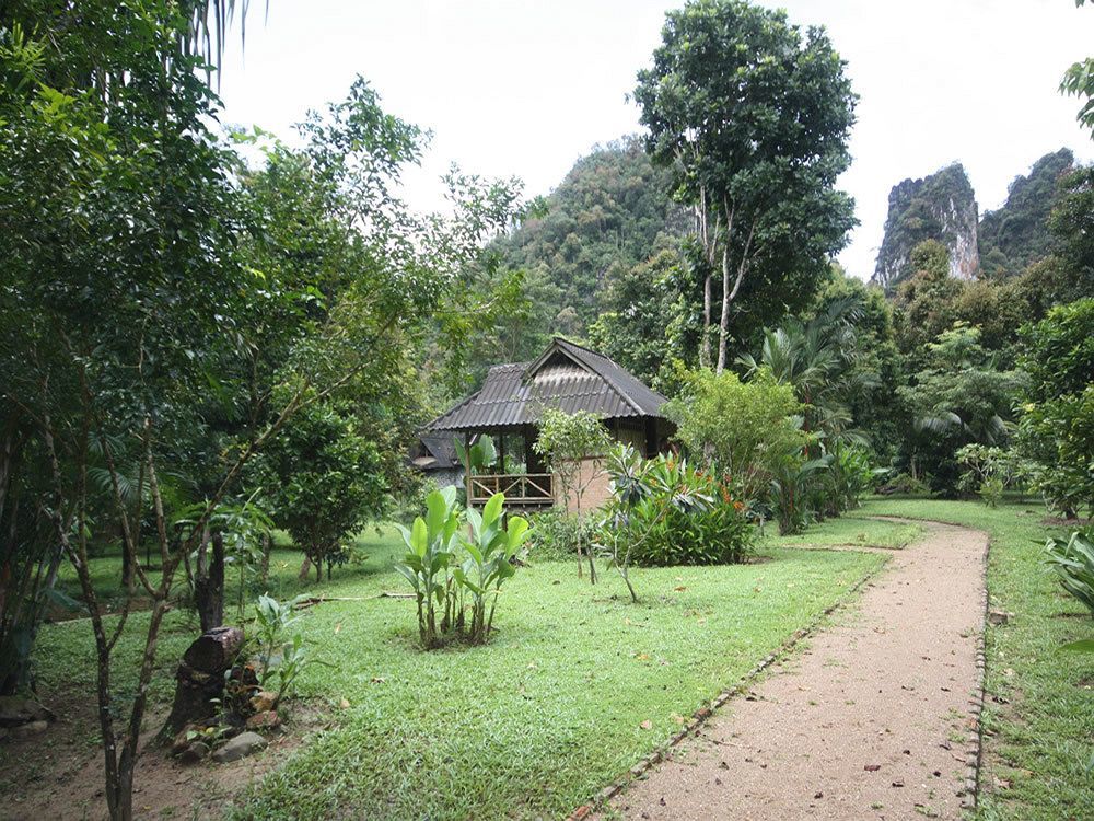 Baan Khao Sok Resort Khao Sok National Park Esterno foto