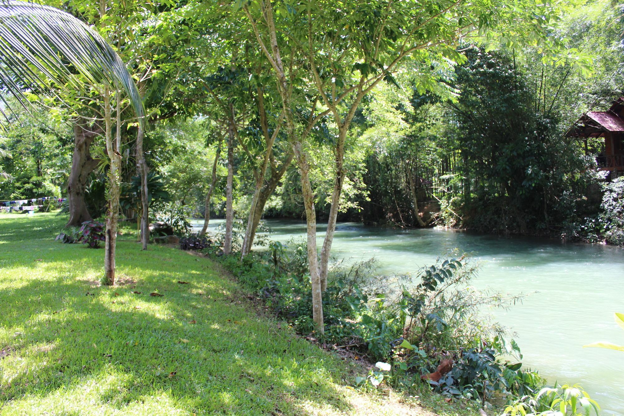 Baan Khao Sok Resort Khao Sok National Park Esterno foto